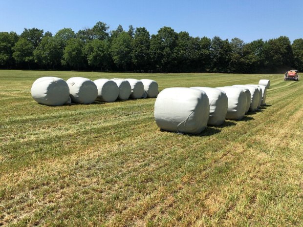 Bottes enrubannées avec l’ Agrirepel® Wrap