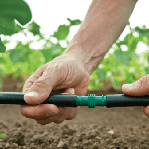 micro-irrigation